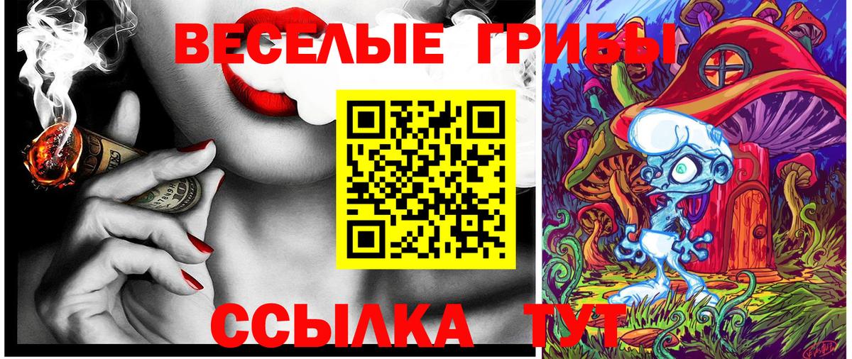 Галлюциногенные грибы MAGIC MUSHROOMS Нальчик